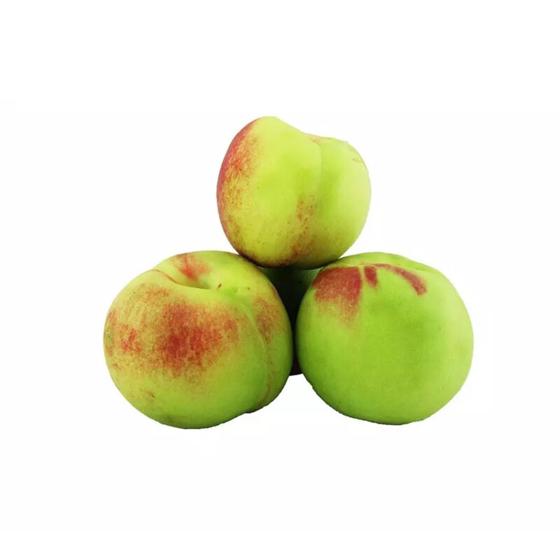 شلیل شمس ممتاز