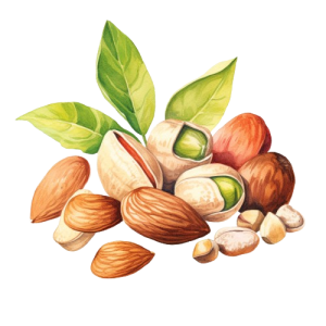 خشکبار و حبوبات