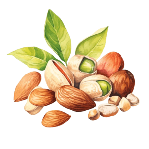 خشکبار و حبوبات